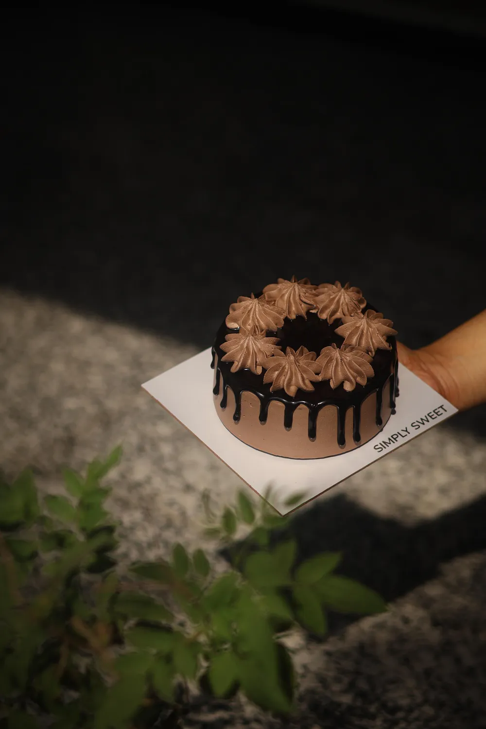 Chocolate Drip Cake